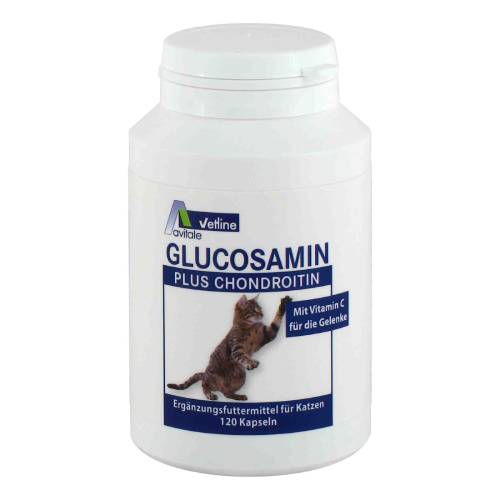 GLUCOSAMIN+CHONDROITIN Kapseln f.Katzen